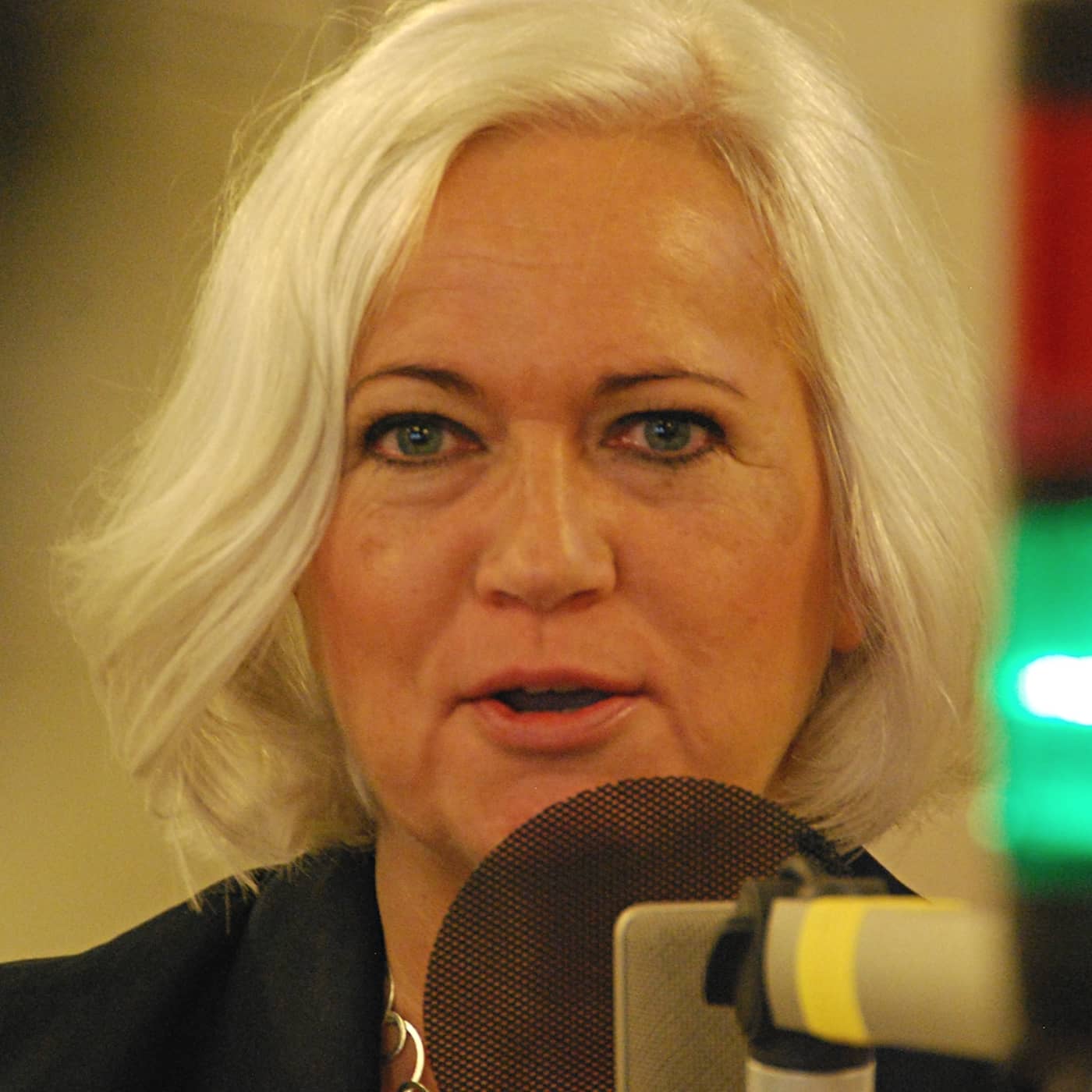 Acko Ankarberg Johansson partisekreterare (KD) artwork