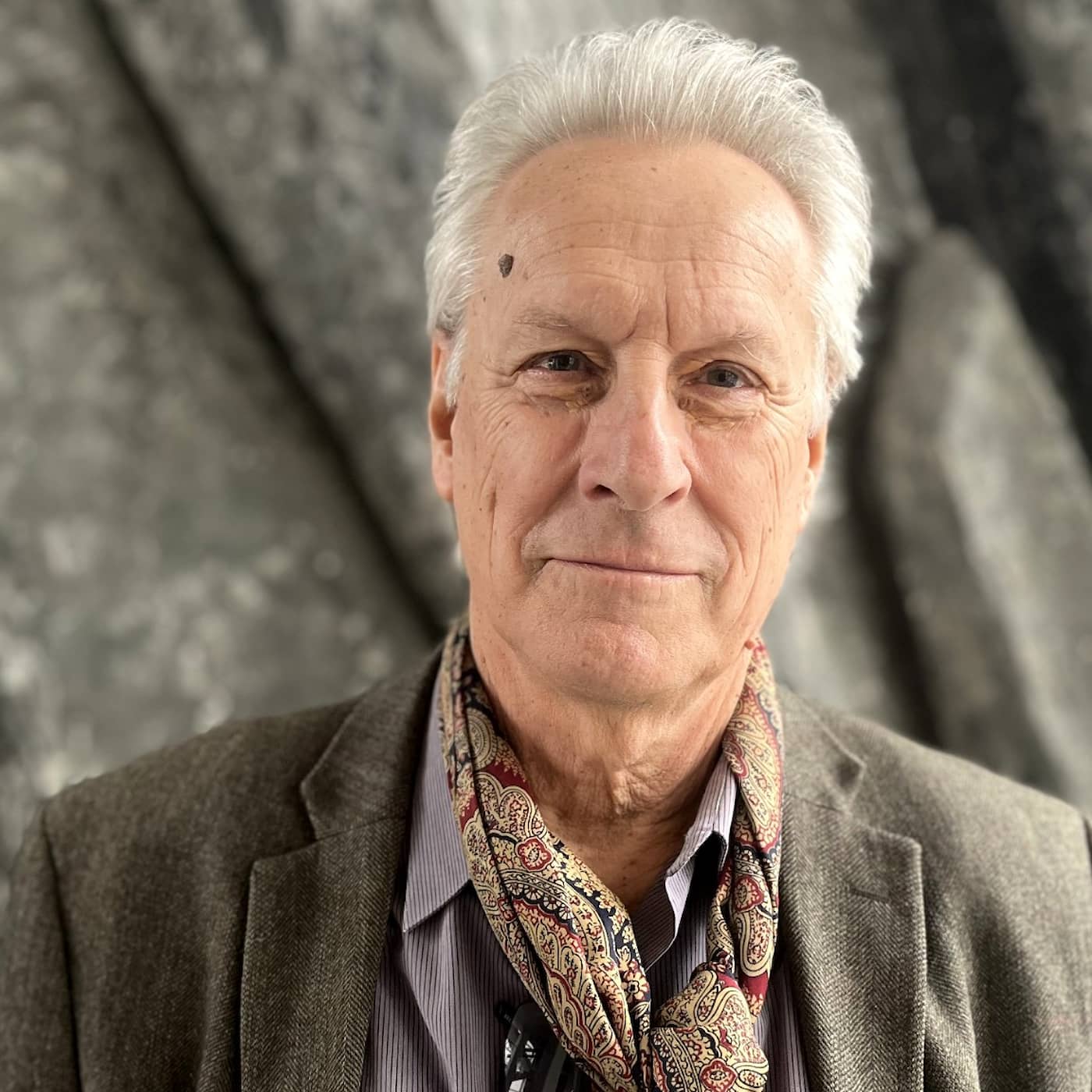 Lars Trägårdh: Jag är för en form av medborgarnationalism artwork