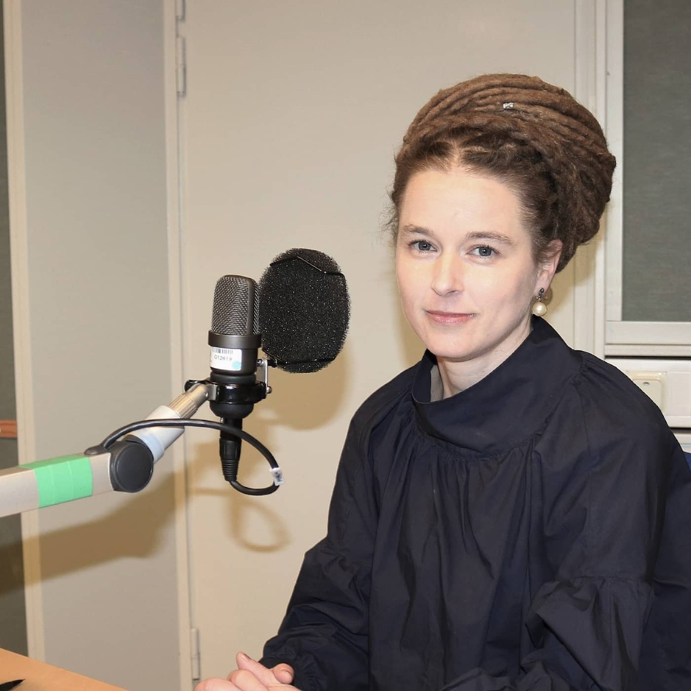 Hur fri är konsten, Amanda Lind (MP)? artwork