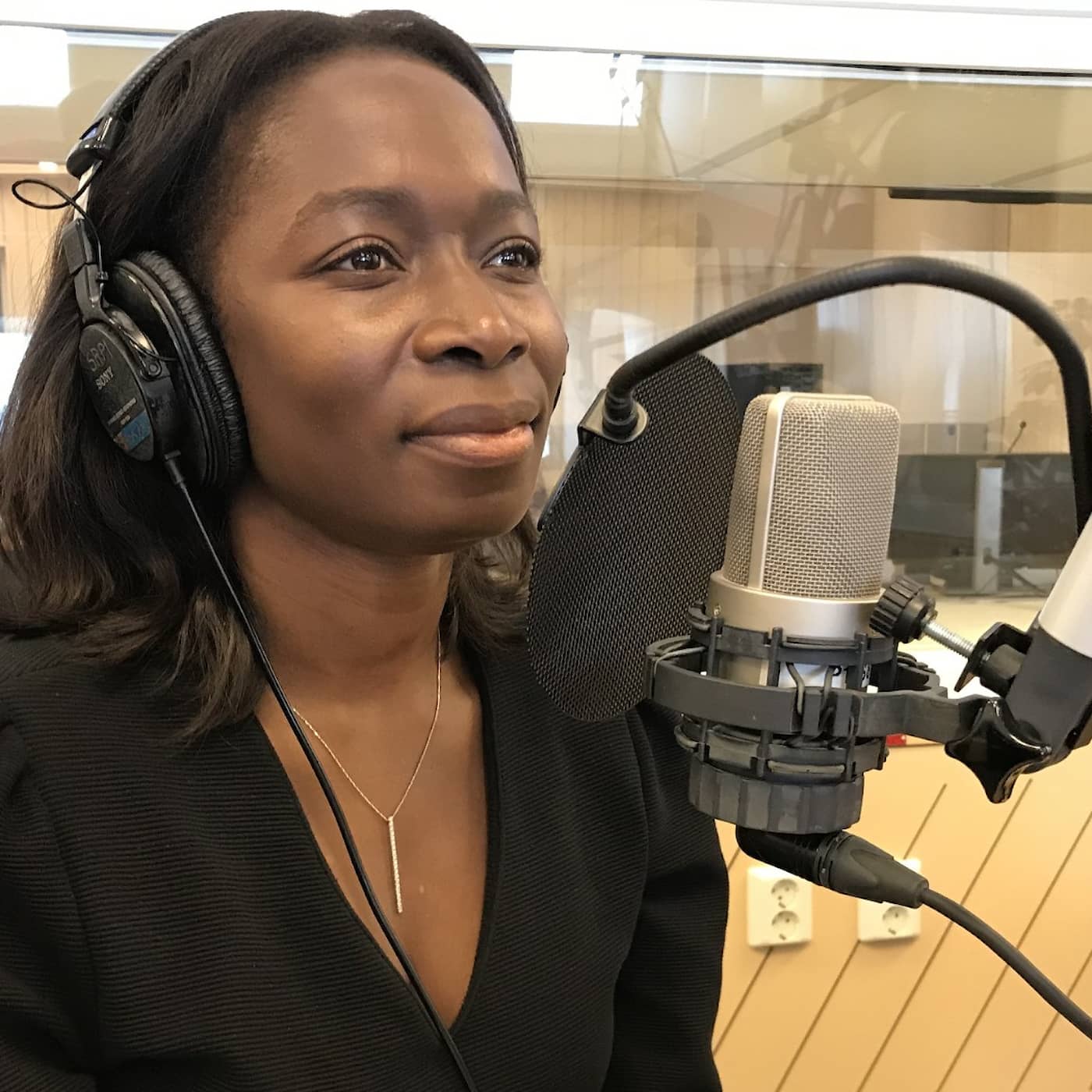 Vad har du för relation till lobbyister, Nyamko Sabuni? artwork