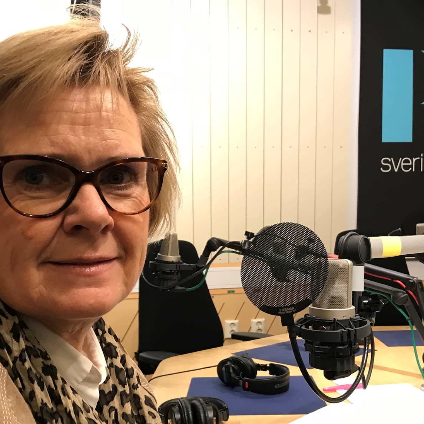 Ekots lördagsintervju med Petra Lundh, Riksåklagare artwork