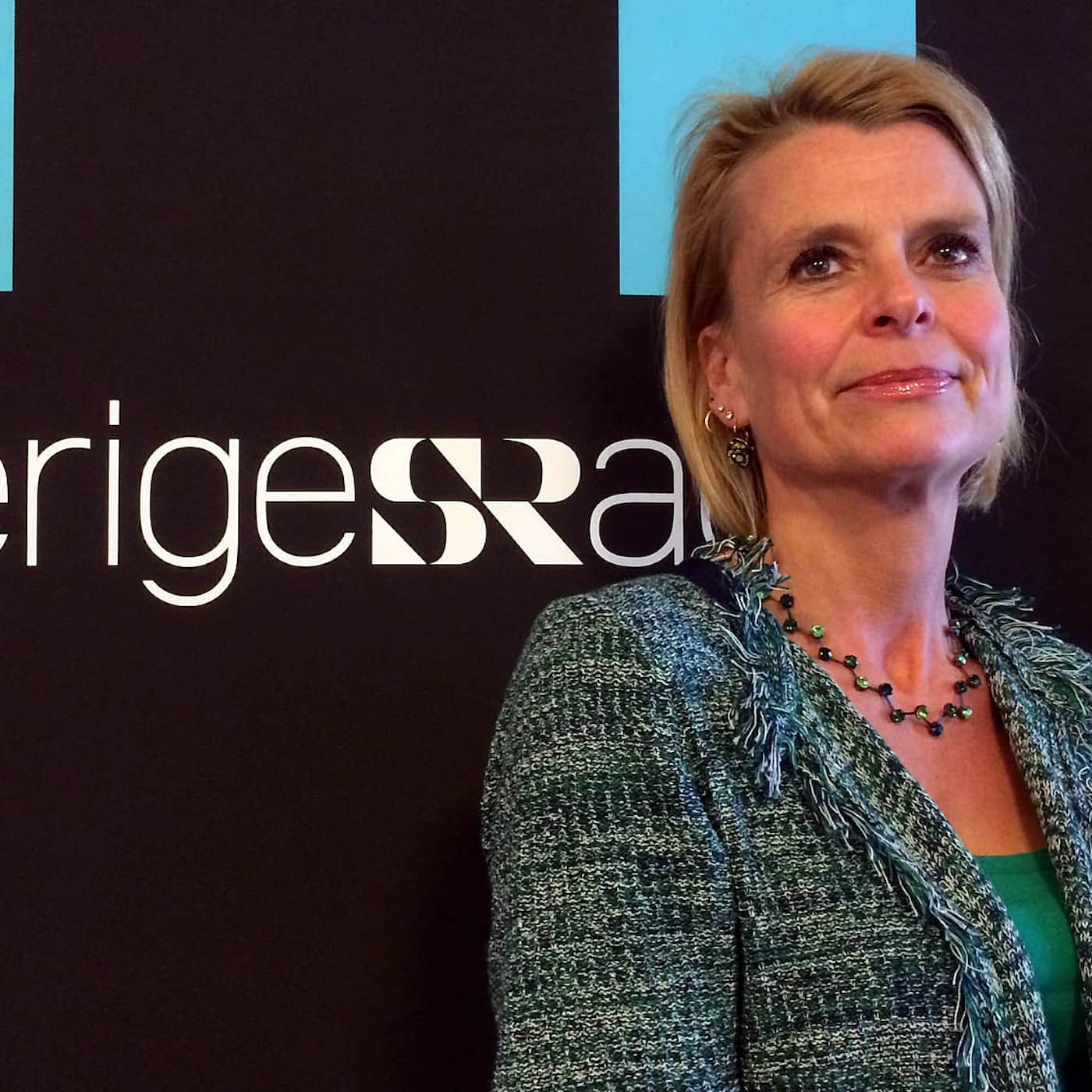 Åsa Regnér (S) - om välfärdens utmaningar artwork