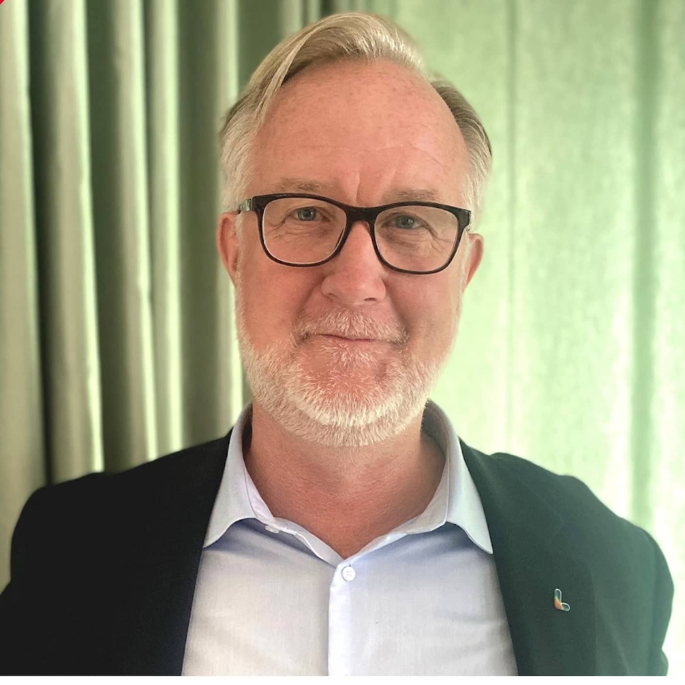 Johan Pehrson (L): Kärnvapen viktigt när diktaturer har dem artwork