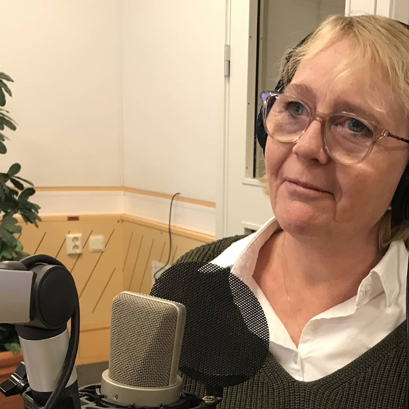 Hur stor är sjukvårdskrisen i Stockholm, Iréne Svenonius (M), finansregionråd? artwork