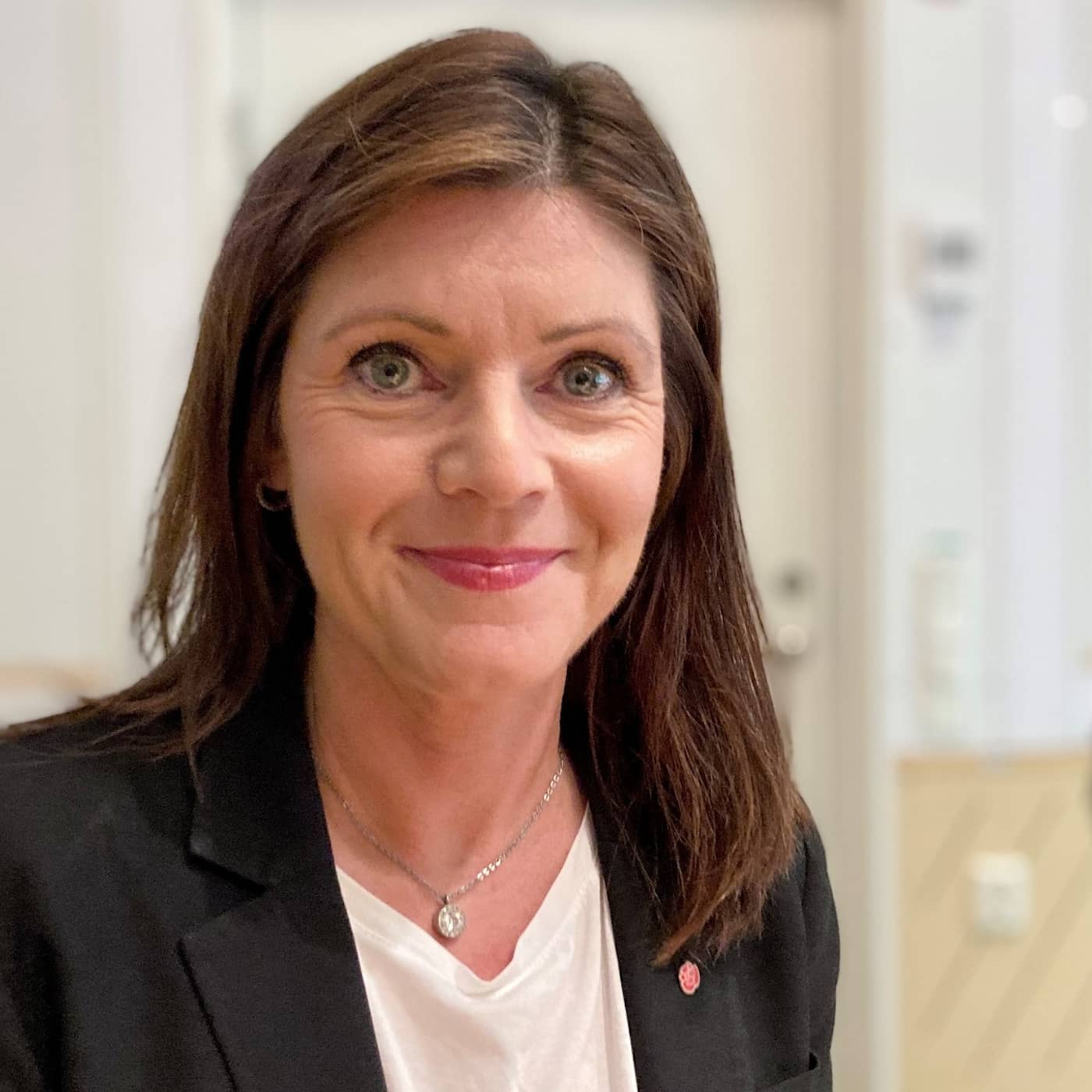 Är långtidsarbetslösheten här för att stanna, Eva Nordmark (S)? artwork