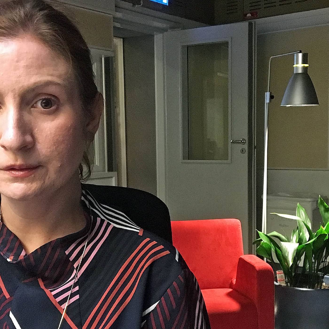 Birgitta Ohlsson (L) - utmanaren! artwork