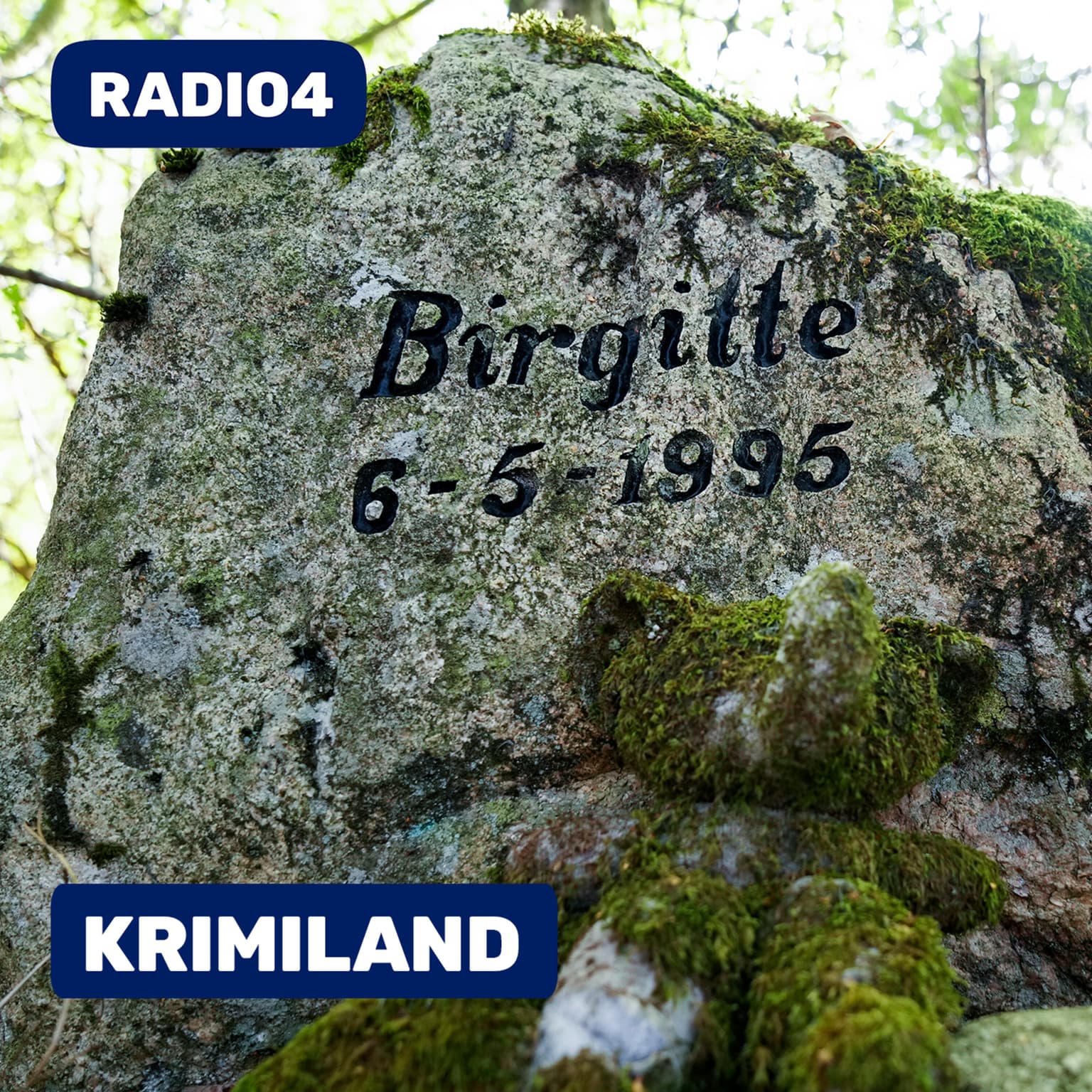 Mordet på Birgitte Tengs (1:3): Gerningsstedet artwork