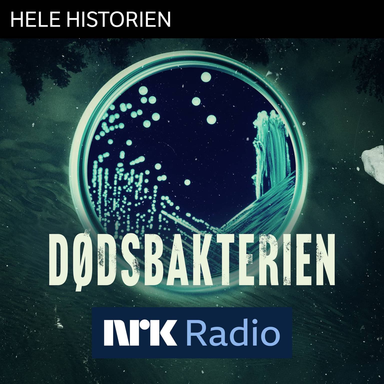 Smakebit: Dødsbakterien artwork