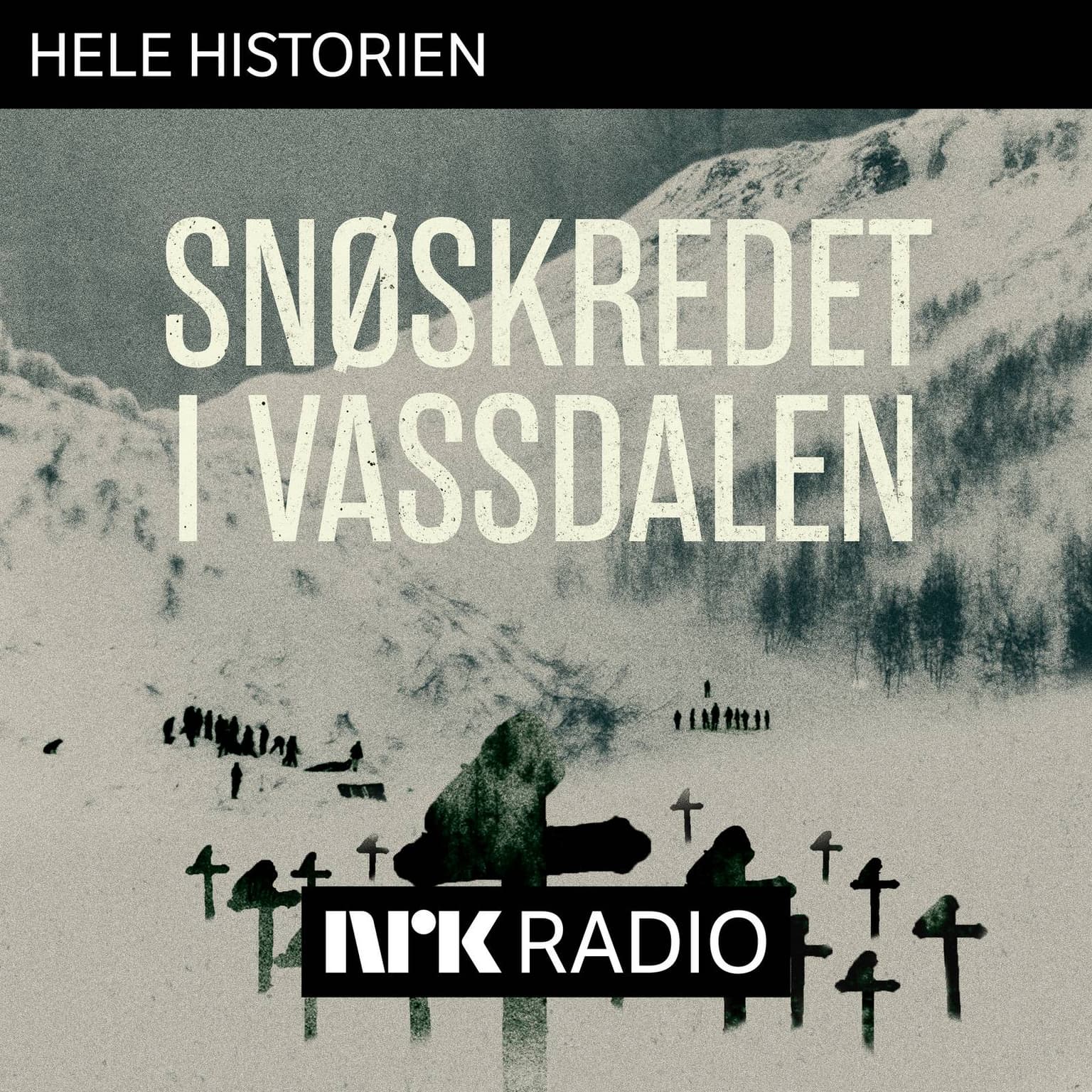 Smakebit: Snøskredet i Vassdalen artwork