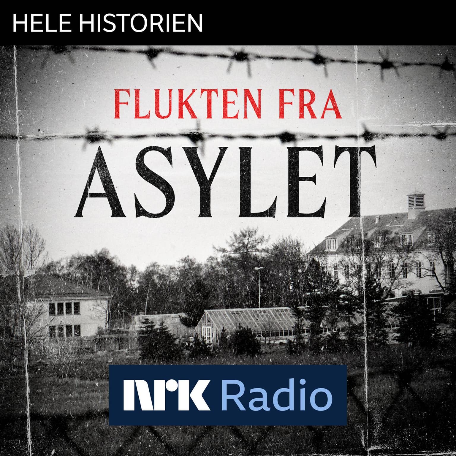 I NRK Radio: Flukten fra asylet artwork