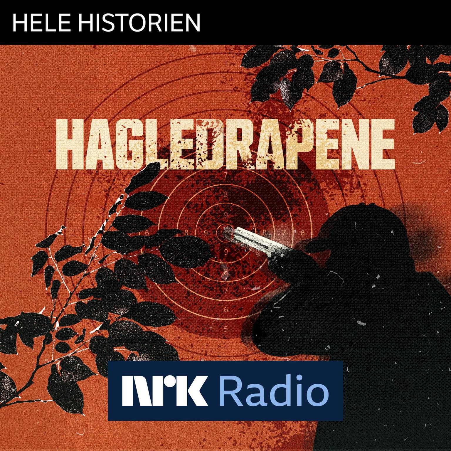 I NRK Radio: Hagledrapene artwork