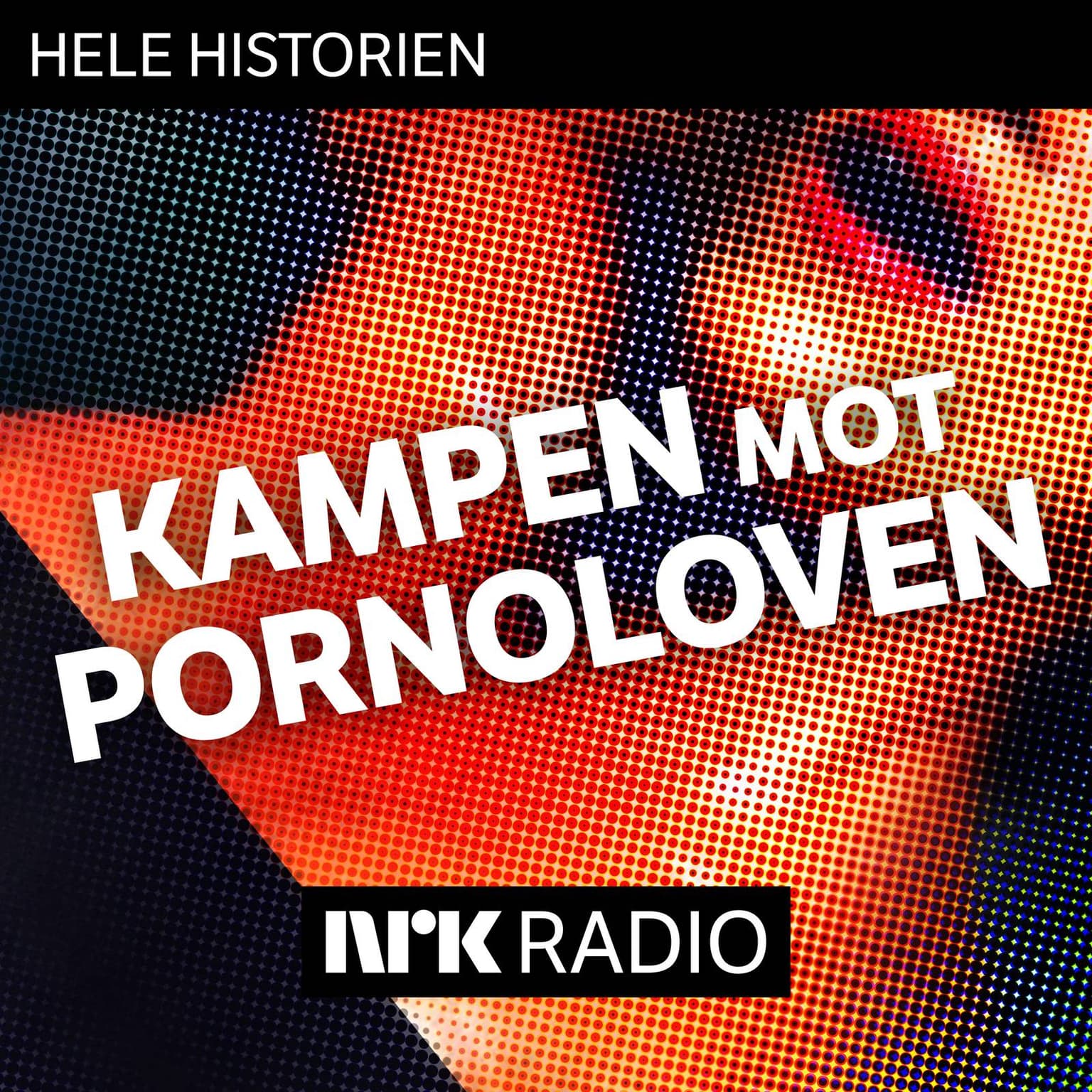 Kampen mot pornoloven (1:2) artwork