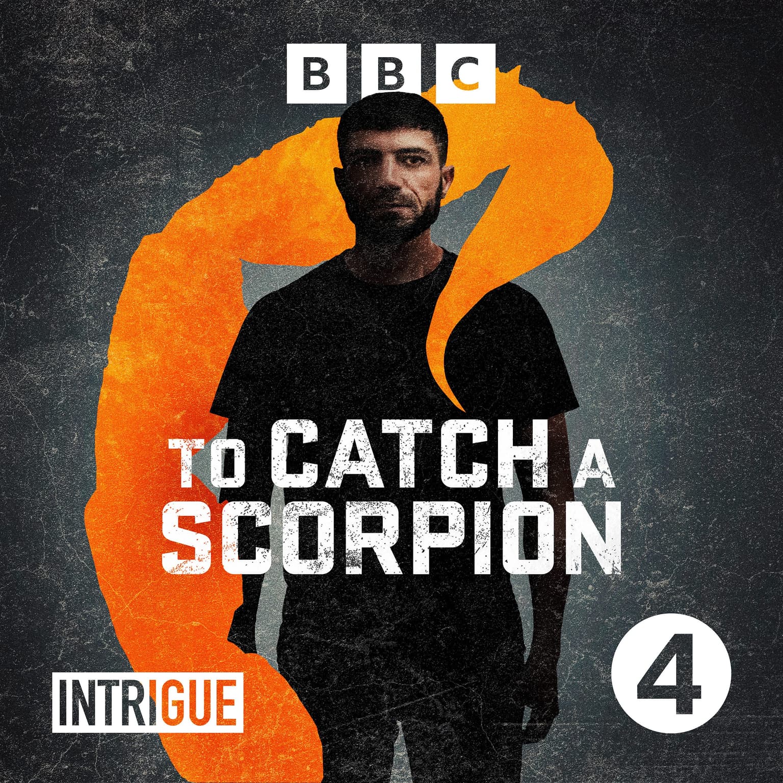 To Catch a Scorpion: Trailer artwork