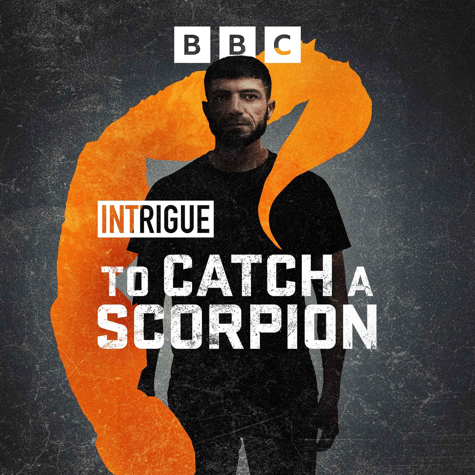 To Catch a Scorpion: 3. Satisfaction Guaranteed artwork