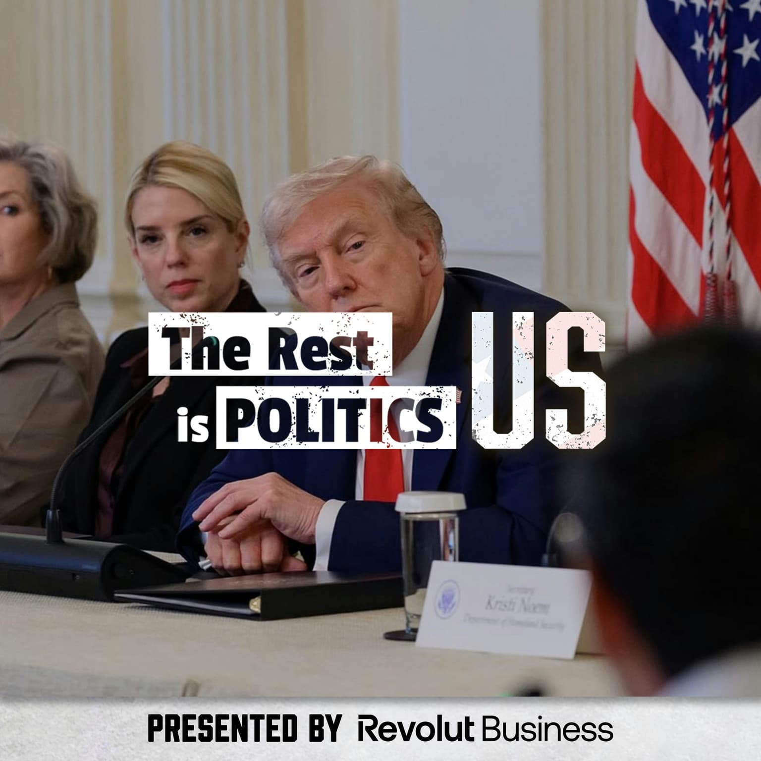 118. Trump is Destroying American Democracy artwork