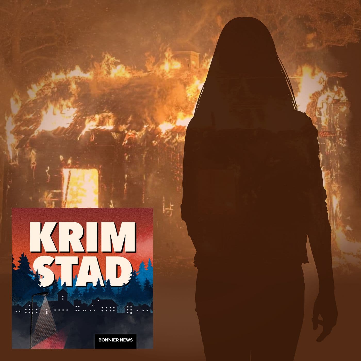 Mordbränderna spred skräck i Tranås: “Det var jätteobehagligt" artwork