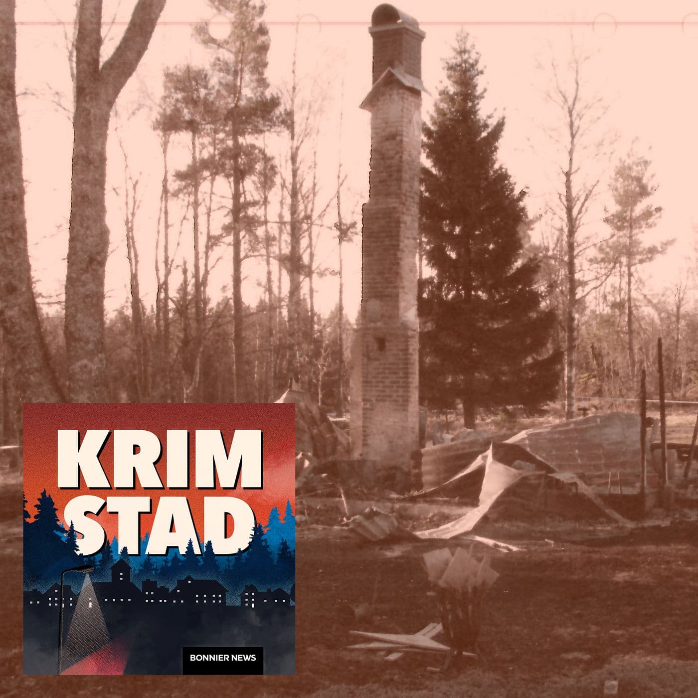 En oväntad mördare - Hökensås (2/2) artwork
