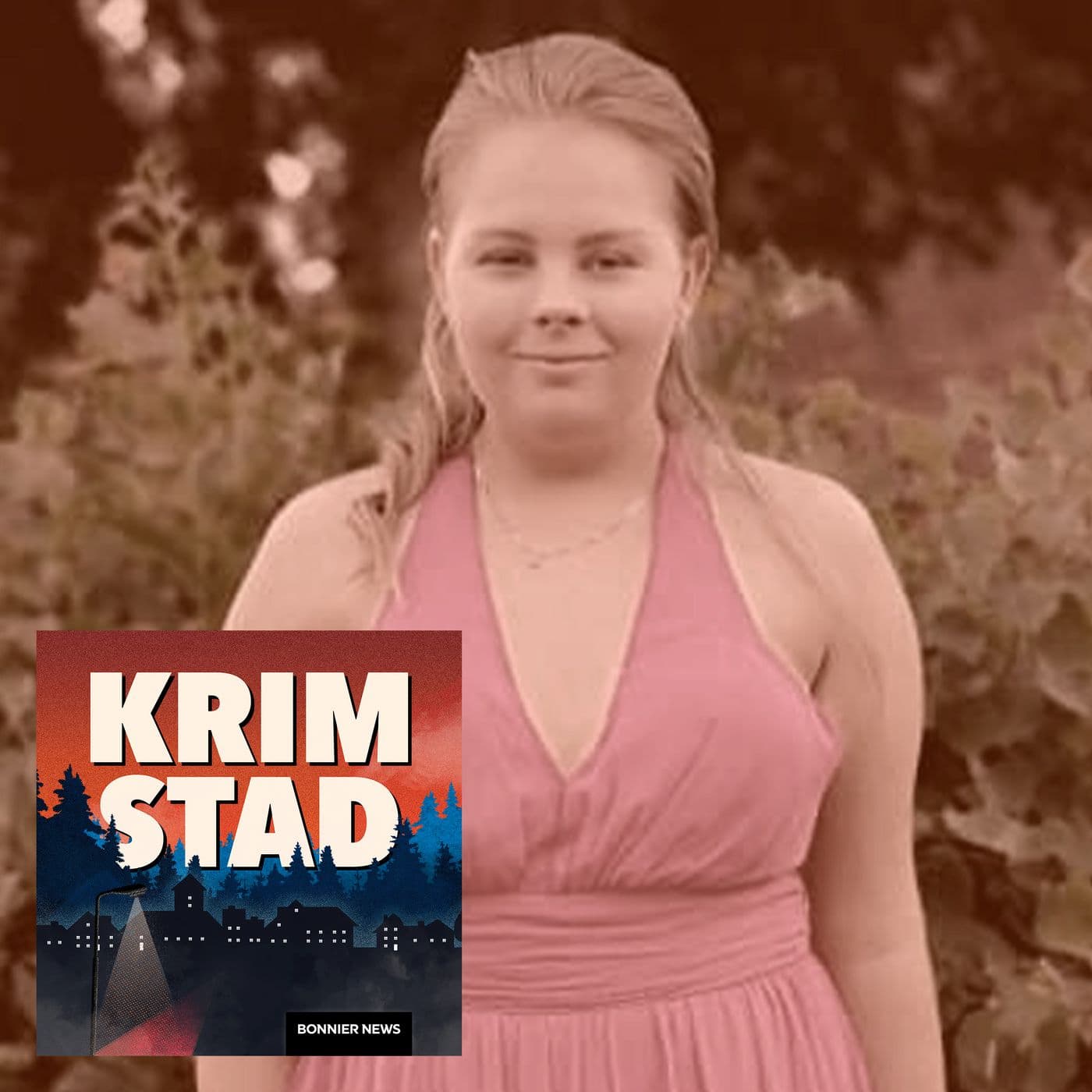 Elin i Höör - Erkännandet (2/2) artwork