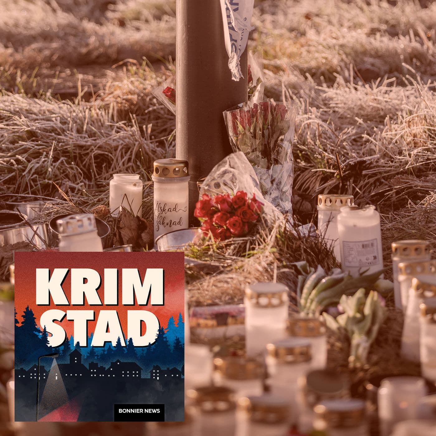 Ett år efter massmordet på Risbergska: ”Det är ensamt” artwork
