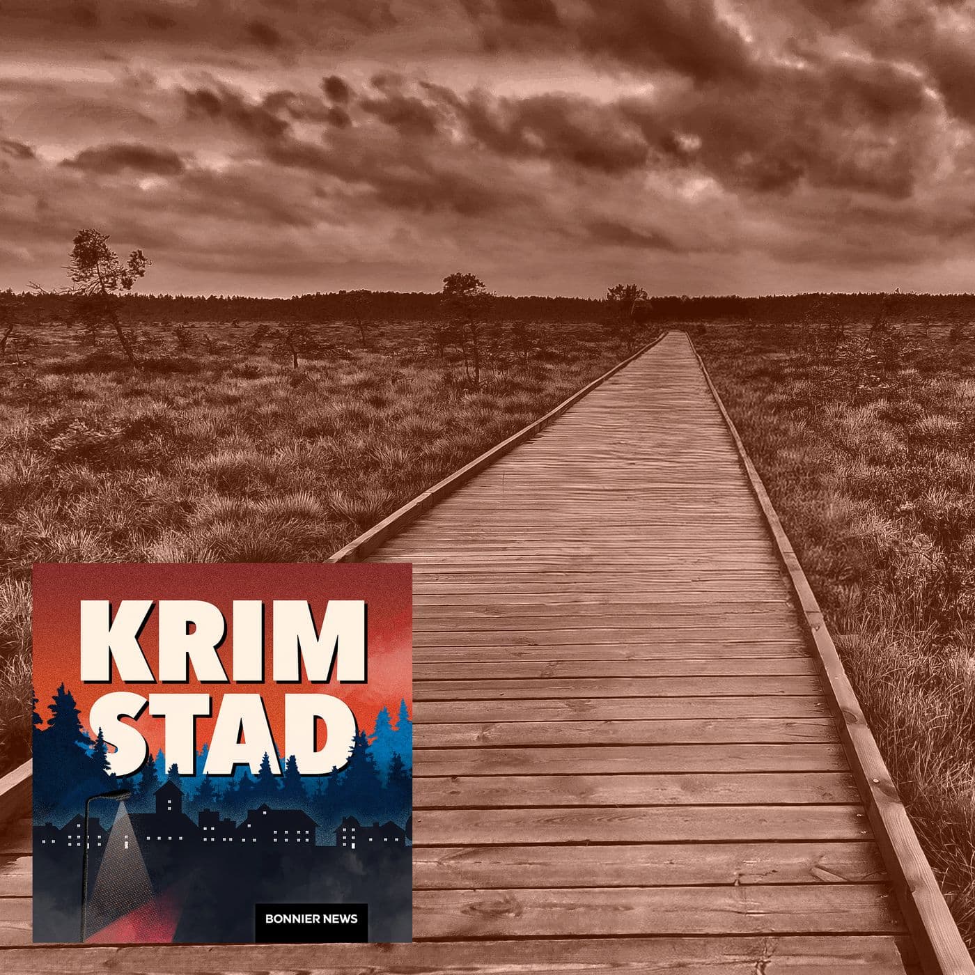 Mördade chefen – ljög för kollegorna artwork