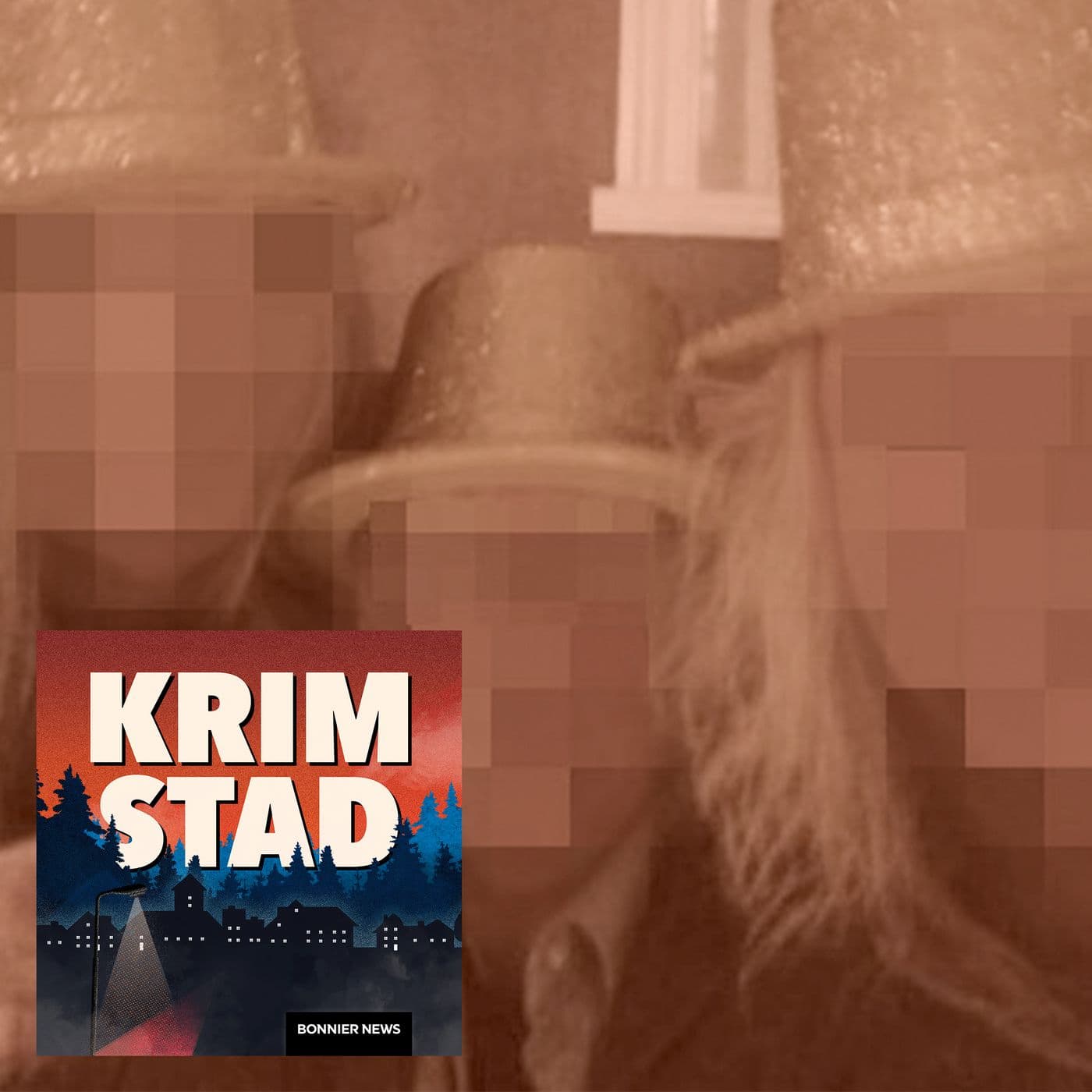 Nyårsmordet - ”Det är någon mardröm man är i” artwork