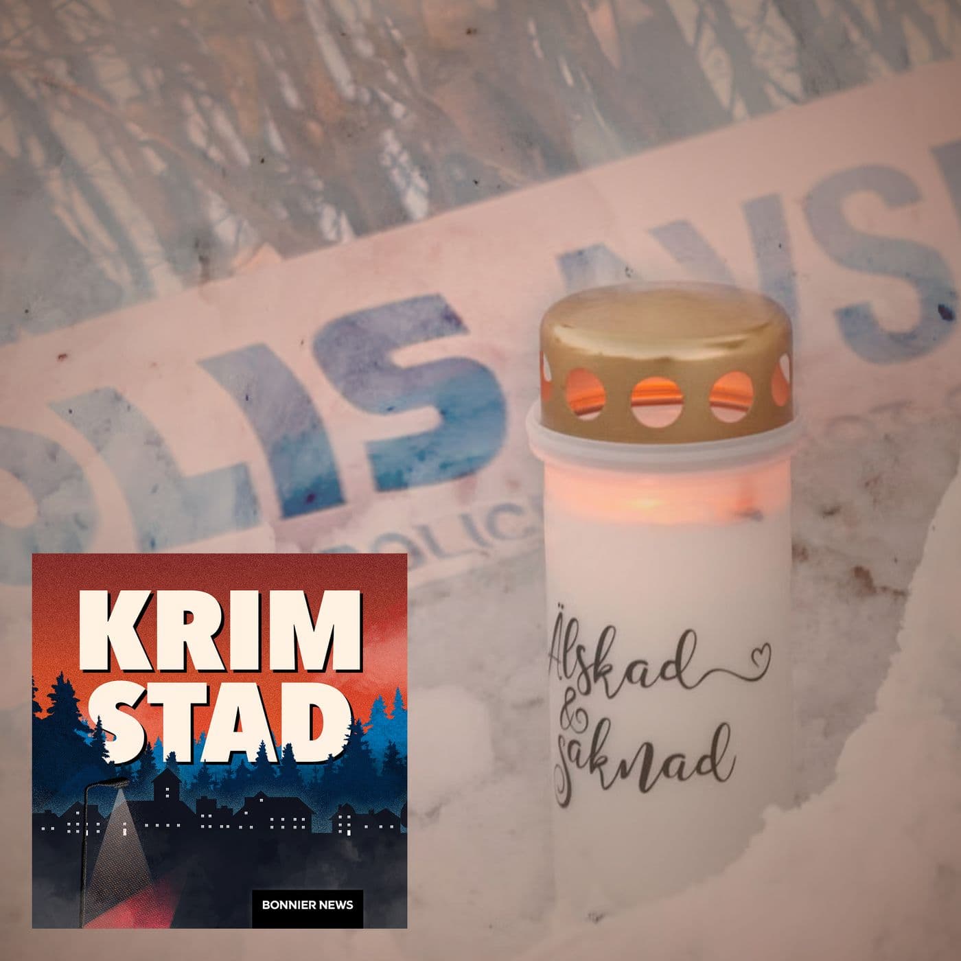 Misstänkta mordet i Ånge: “Någonting har brustit” artwork