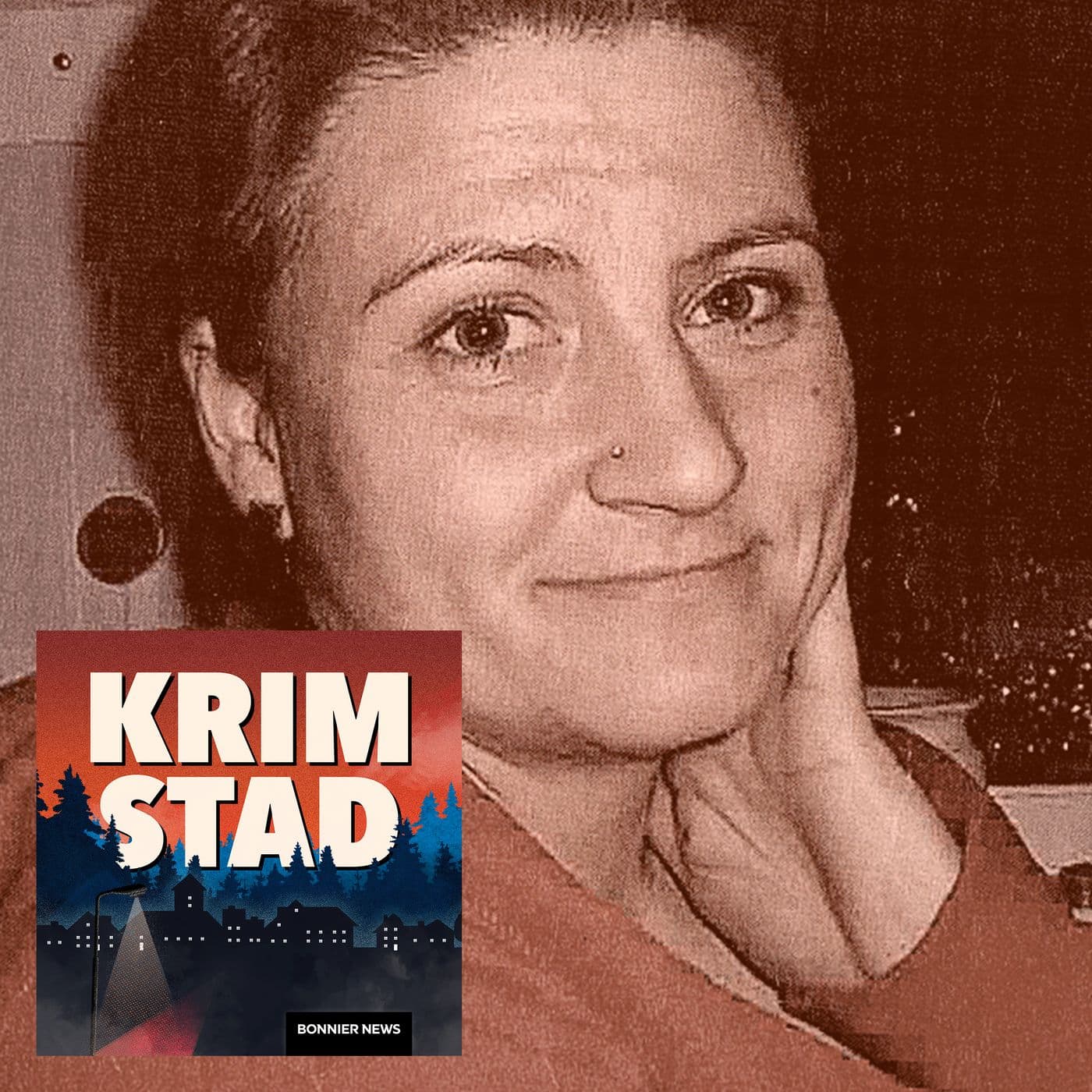 Mordet på Madeleine Sandegård artwork