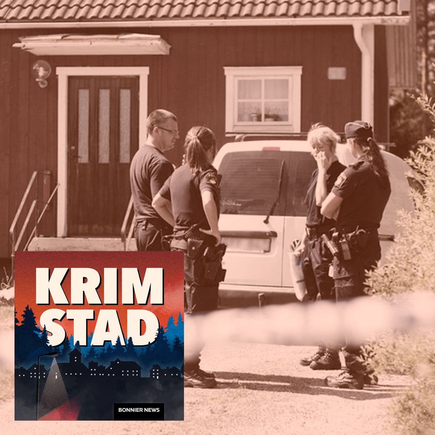 Midsommarmordet i Högbo artwork