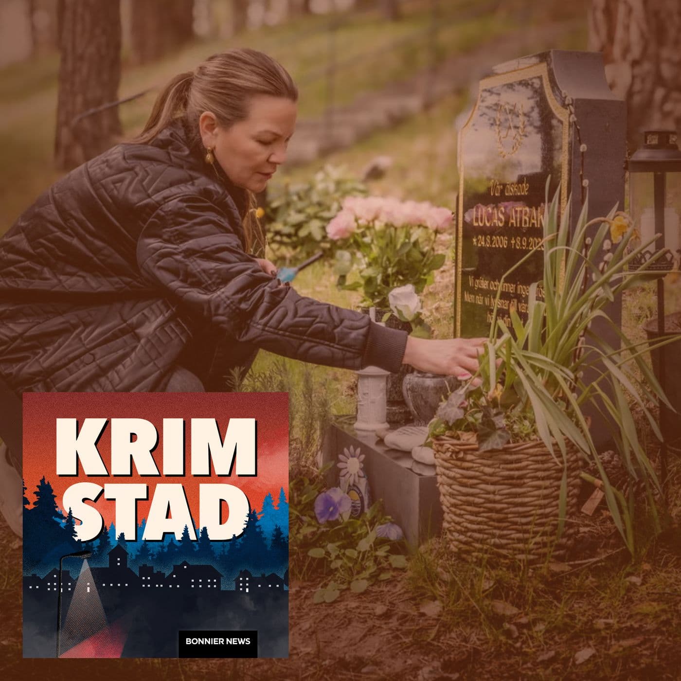 Åsas son blev misshandlad till döds – saknade samhällets stöd artwork