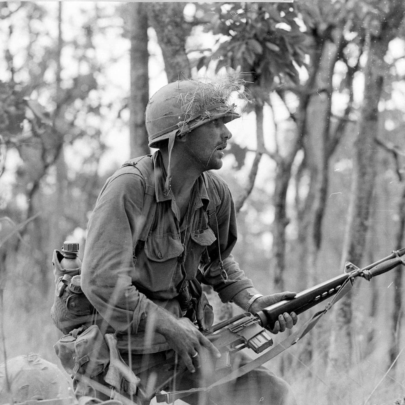 Ia Drang 1965 – där Vietnamkriget började artwork