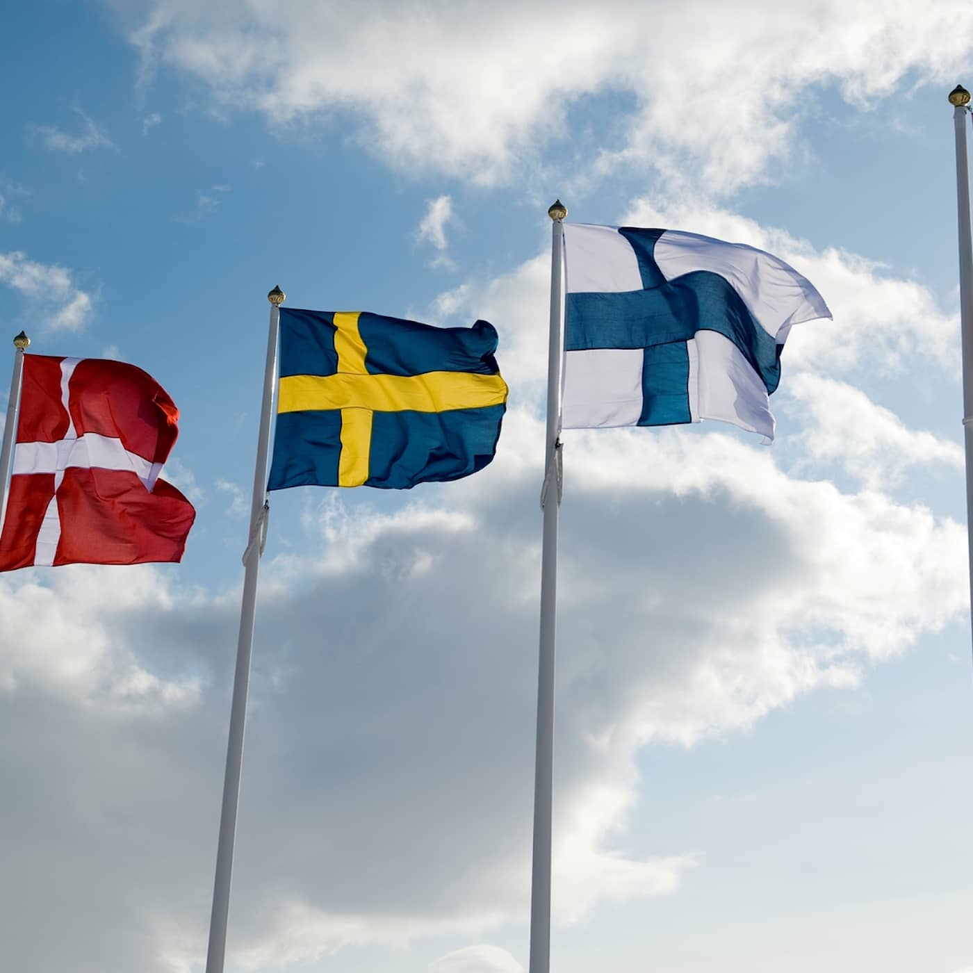Nordenkärlek i 100 år artwork