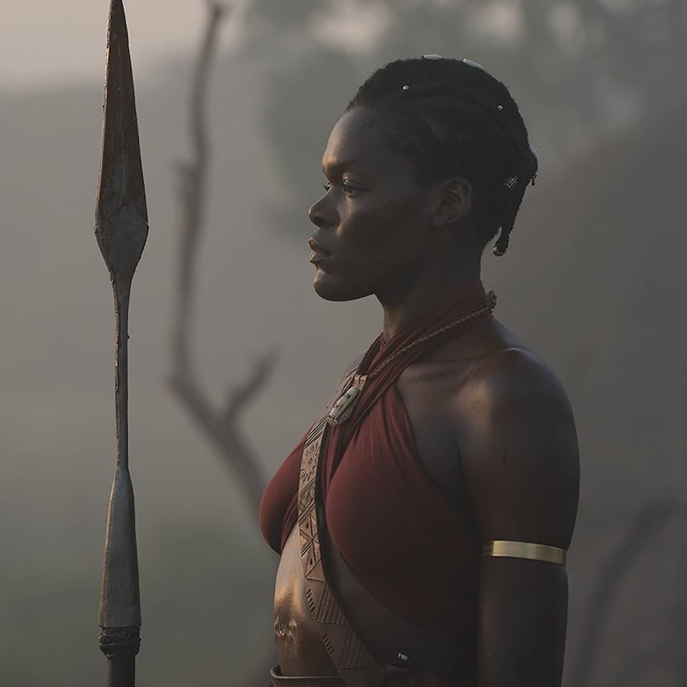Afrikas amazoner på bio artwork