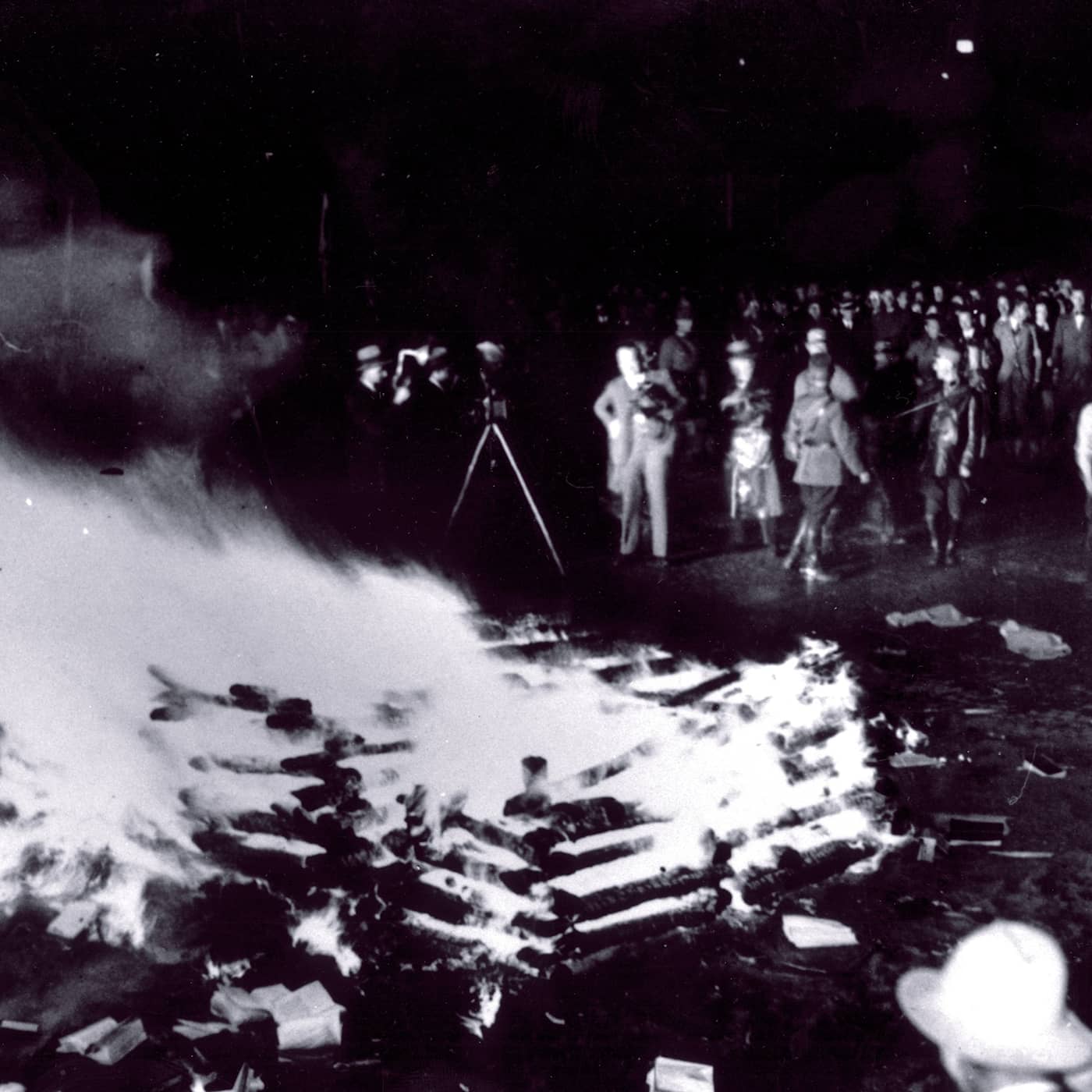 Nazistiska och stormaktssvenska bokstölder kartläggs artwork