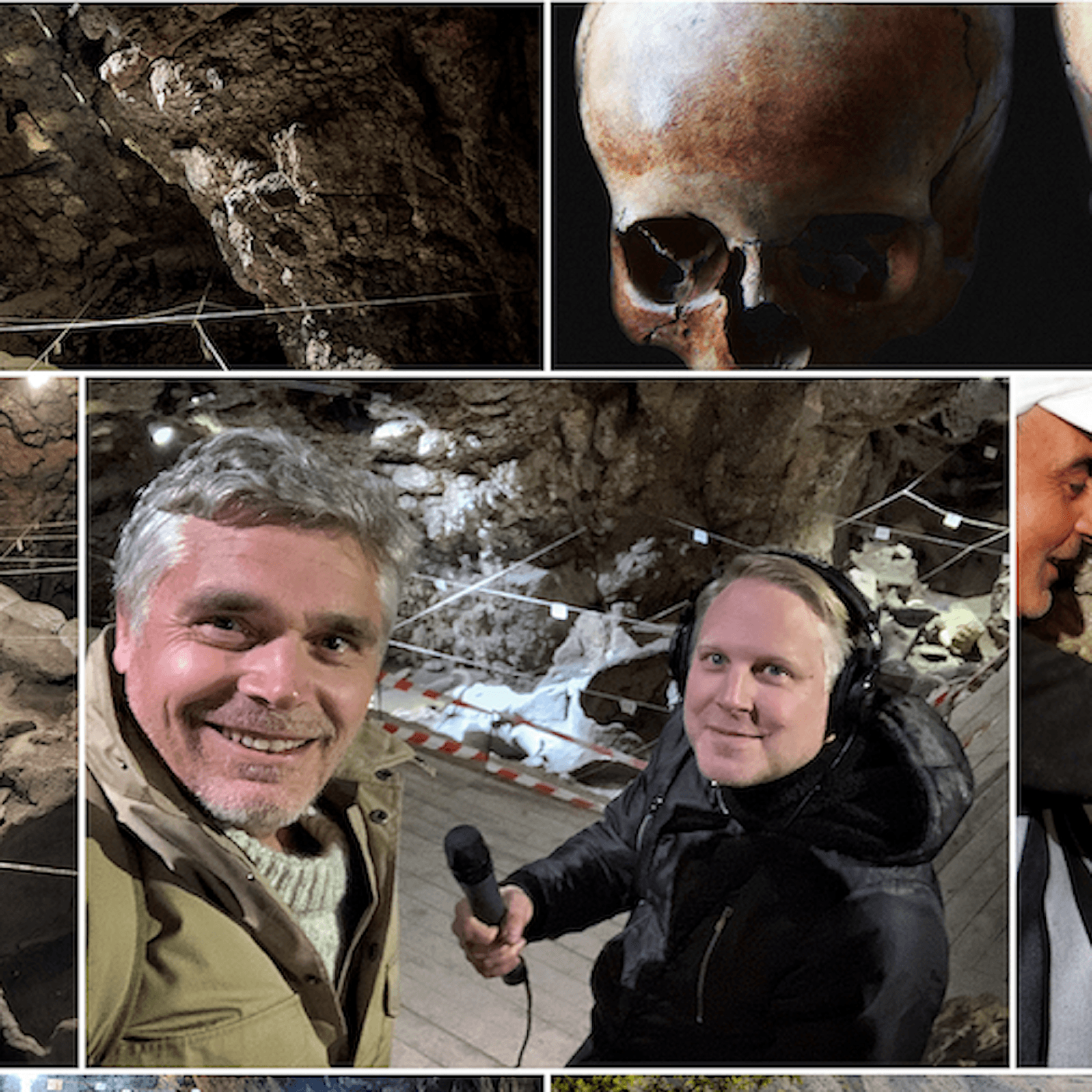 Expedition Noa - vingrottans hemligheter artwork