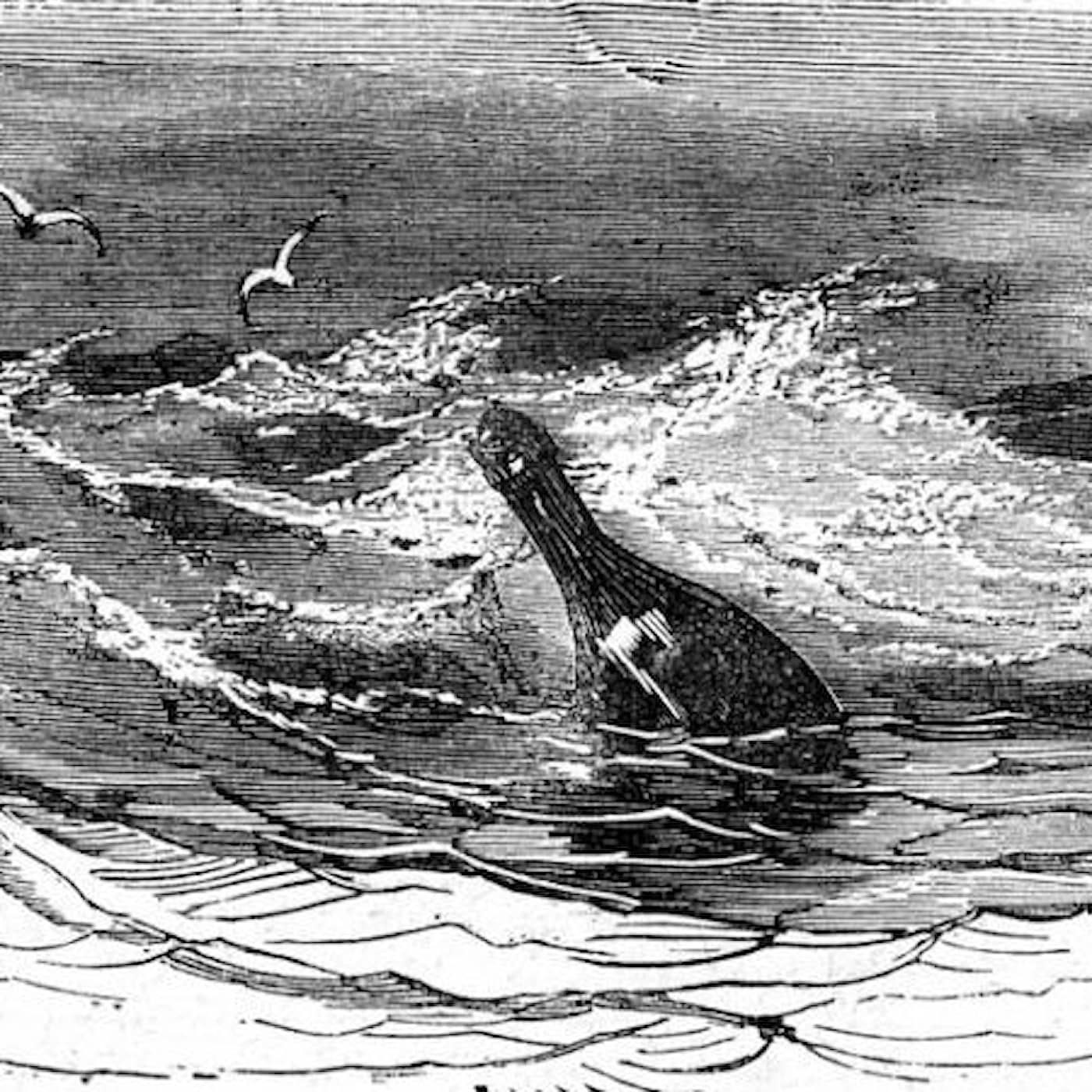 Flaskpostens historia artwork