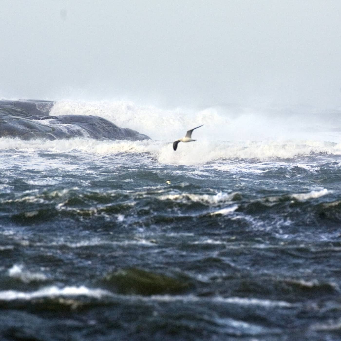 Havet som grav artwork