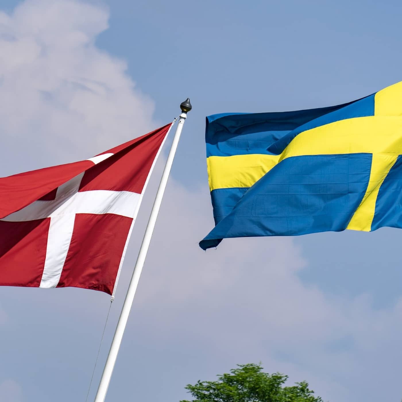 Svensk-danska krig och allianser artwork