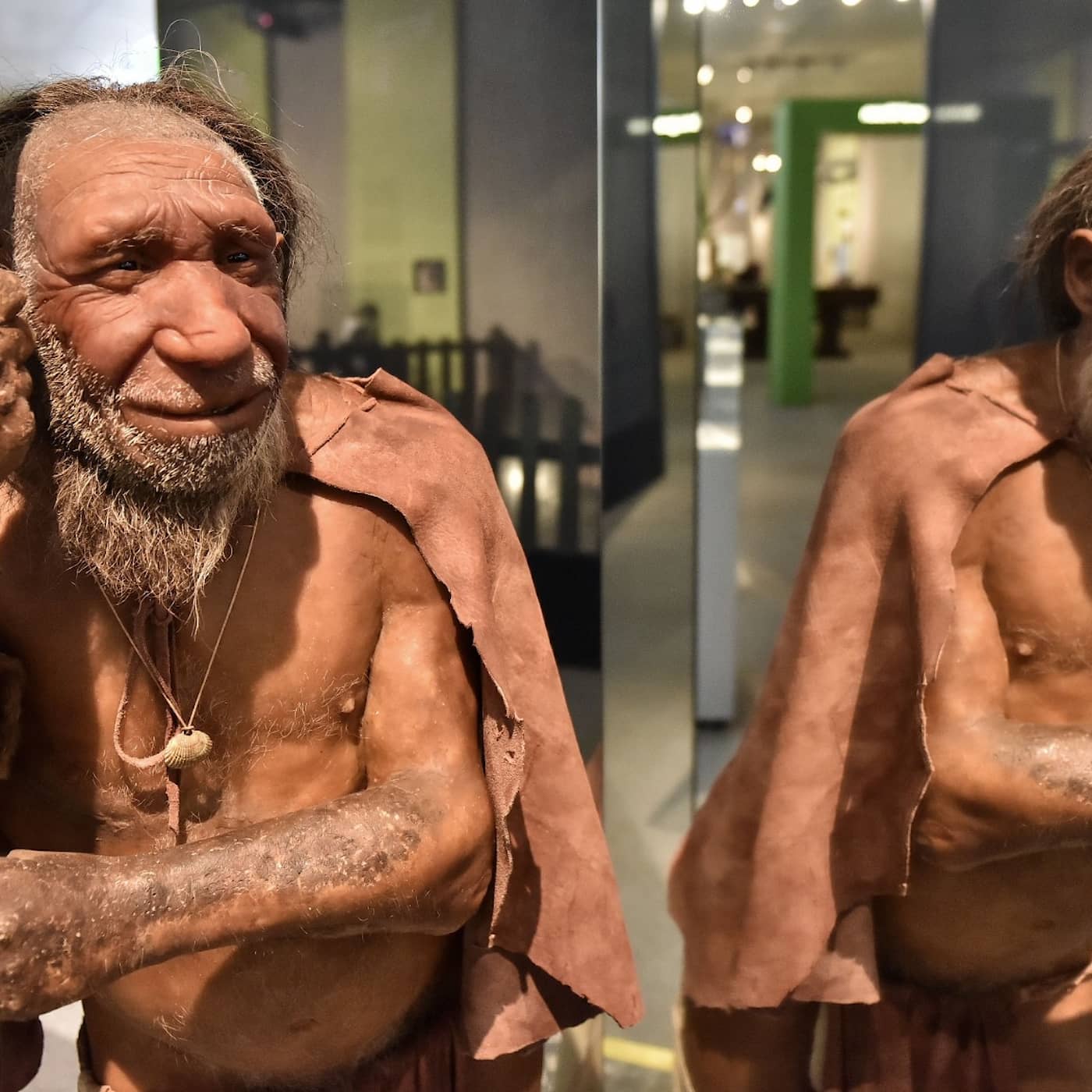Hemlighetsfulla neanderthalaren i rampljuset artwork