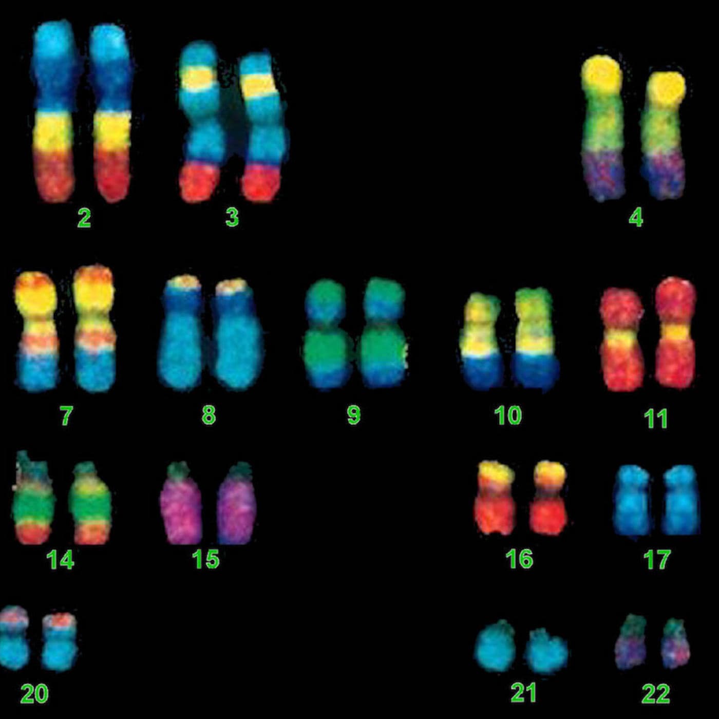 #77 — The Moral Complexity of Genetics artwork