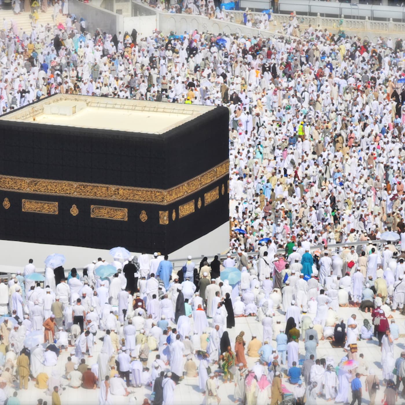 #55 — Islamism vs Secularism artwork