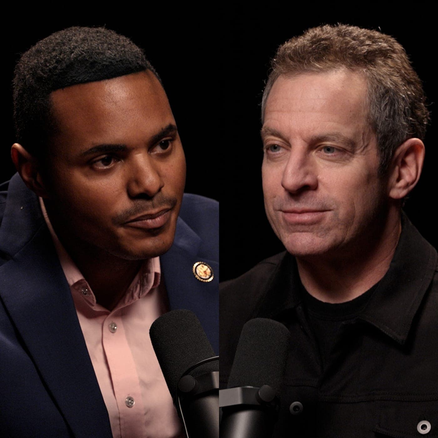#418 — A Future for Democrats artwork