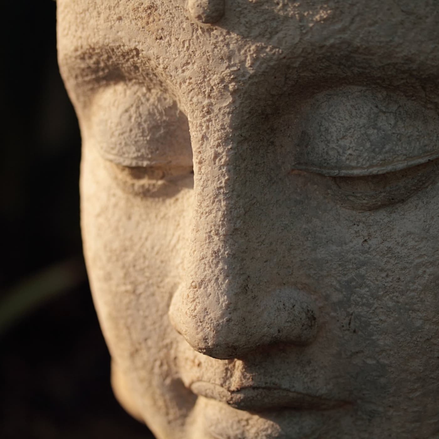 #102 — Is Buddhism True? artwork
