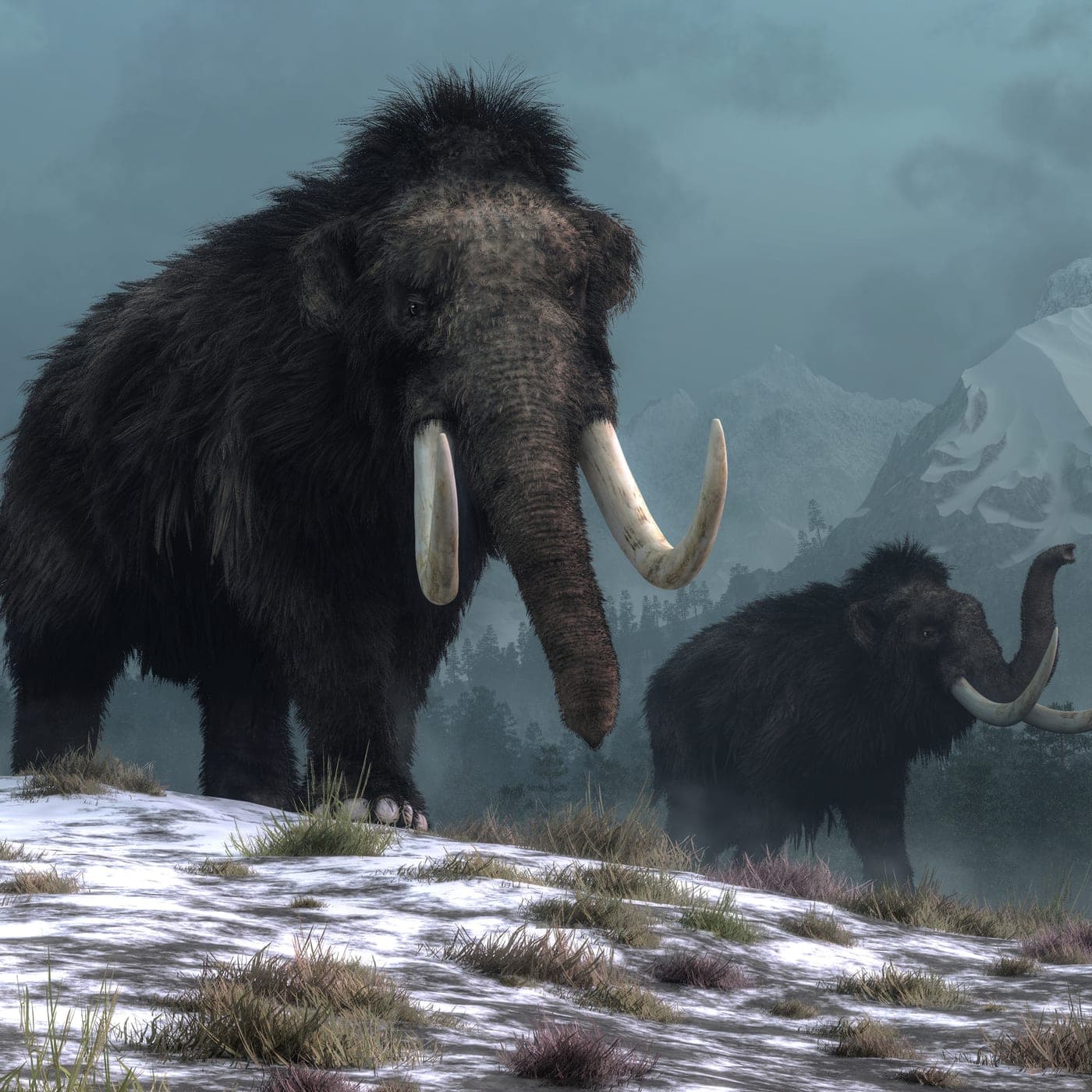 #394 — Bringing Back the Mammoth artwork