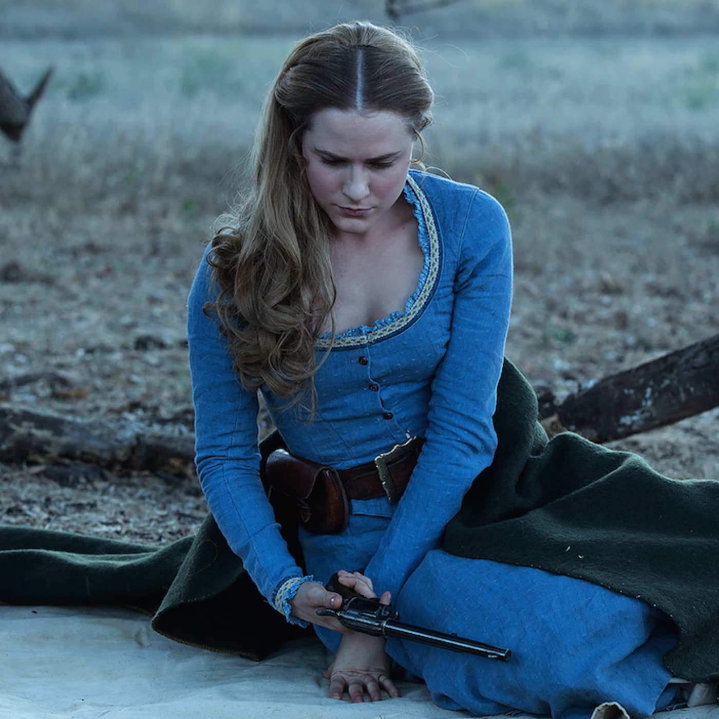 #56 — Abusing Dolores artwork