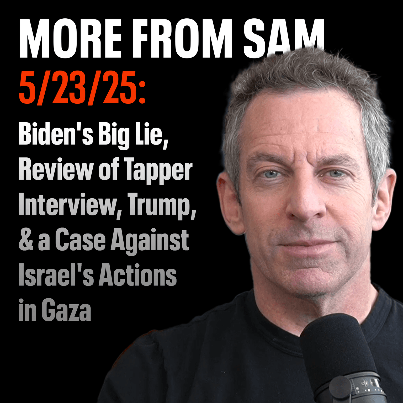 #416 — "More From Sam": Biden's Big Lie, Review of Tapper Interview, Trump, & a Case Against Israel's Actions in Gaza artwork