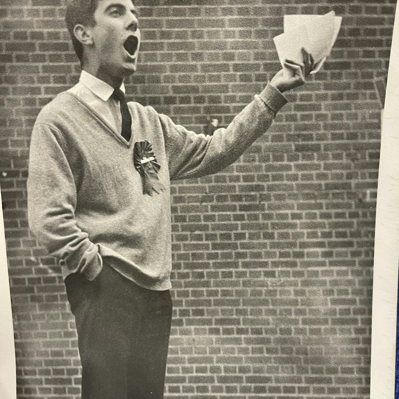 More Rosebud - Gyles's diary, episode 11: the second half of 1964 - a road trip, election fever and school reports artwork