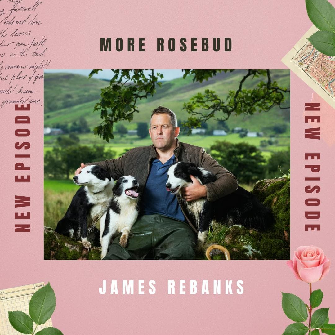 More Rosebud - James Rebanks: the shepherd's life and times artwork