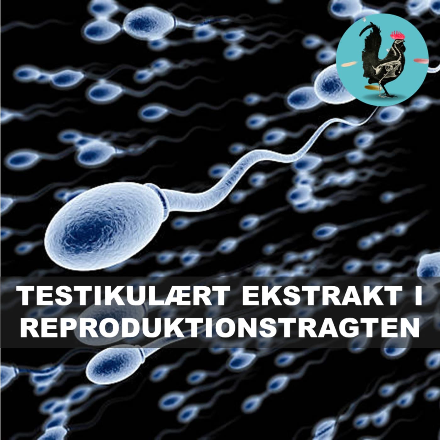 #228: Sædens lægelige egenskaber (1945) artwork