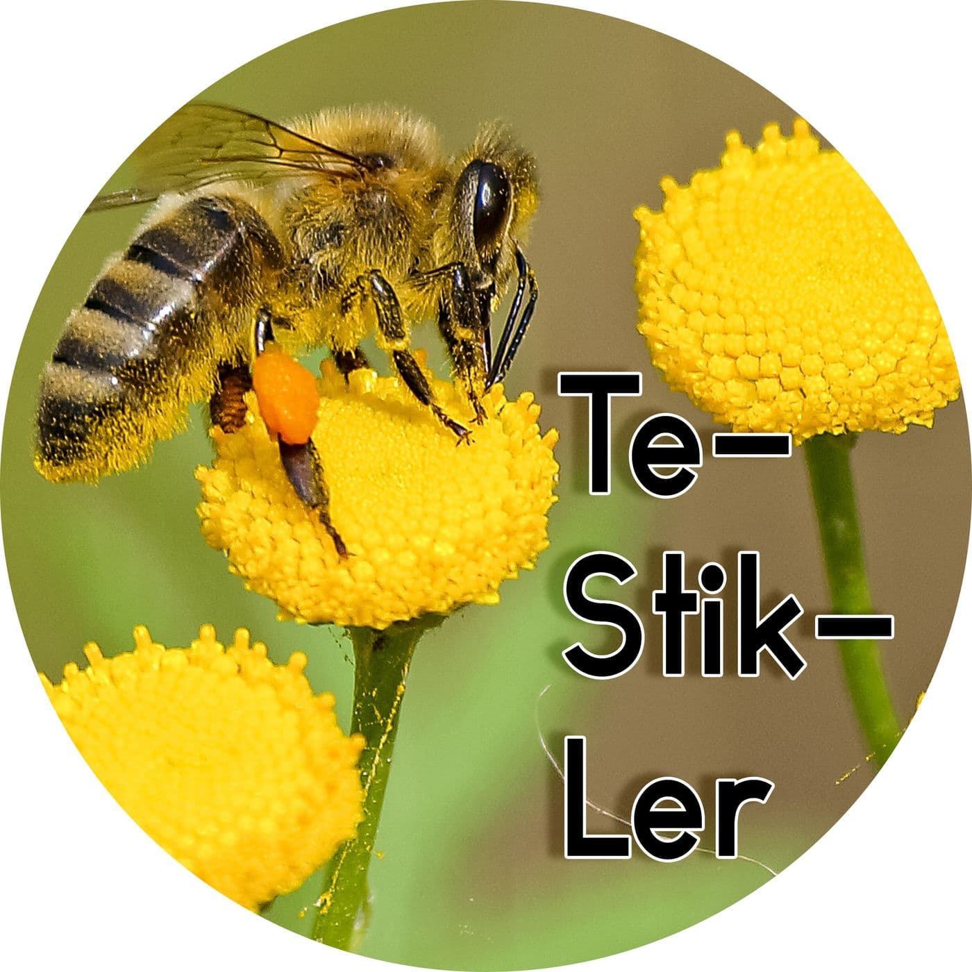 #1.17: Te-Stik-Ler artwork