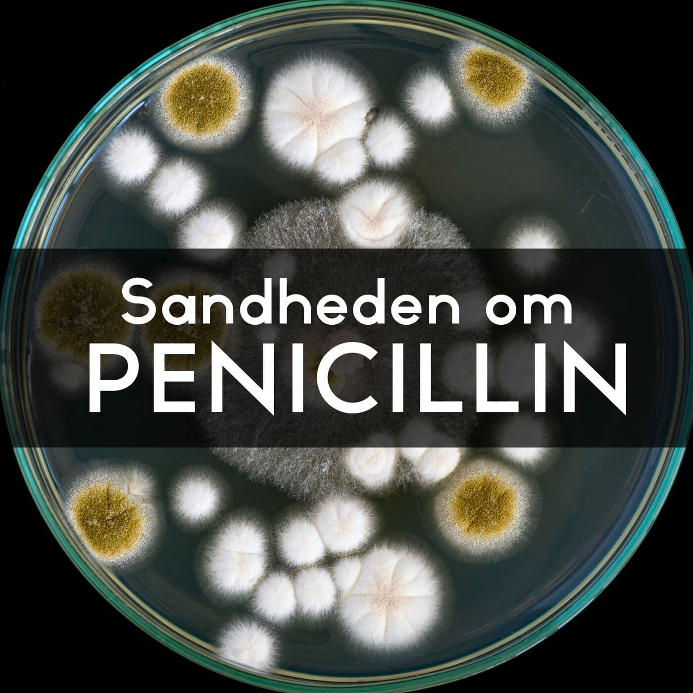 #3.36: Tilfældige videnskabelige opdagelser artwork